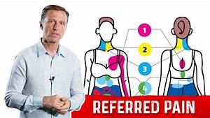 Most Is Referred Explained By Dr Berg