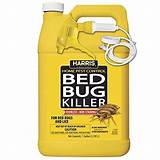 Images of Does Bed Bug Spray Work