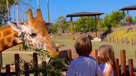 Australia Zoo In Beerwah Queensland Expedia