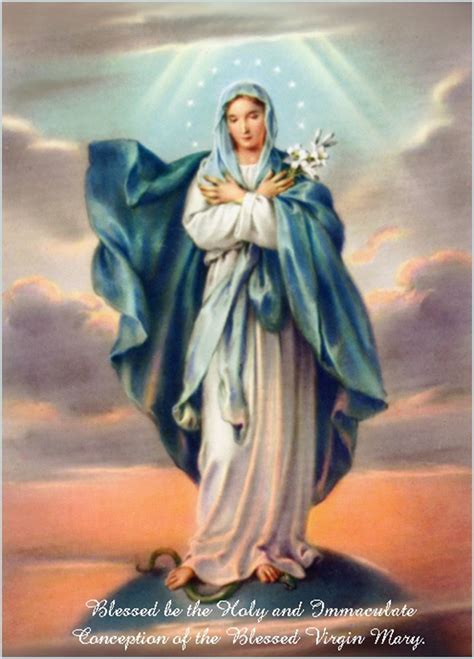 Immaculate Conception Of Mary December 8