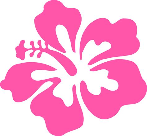 Download Hibiscus Pink Flower Background Royalty Free Vector Graphic