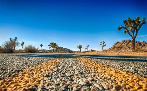 Joshua Tree National Park Kalifornien Usa Straße Bäume Himmel