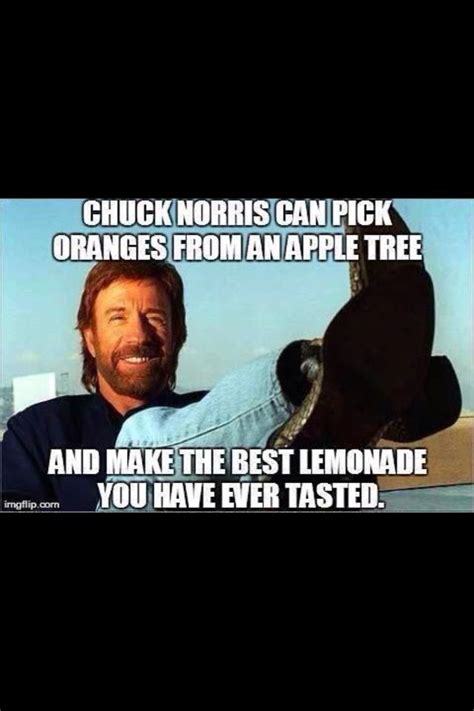 Chuck Norris Meme Chuck Norris Jokes Chuck Norris Funny Chuck