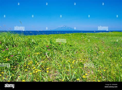Rishiri Island And Sarobetsu Plain Stock Photo Alamy