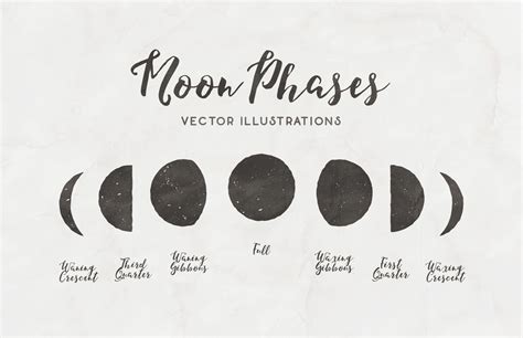 Moon Phases Free Vector Illustrations Free Vector Illustration