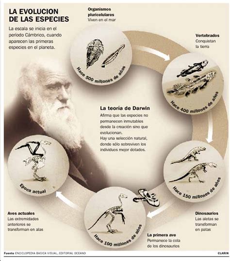 La Evolución De Las Especies De Charles Darwin Ciencia Teoría De