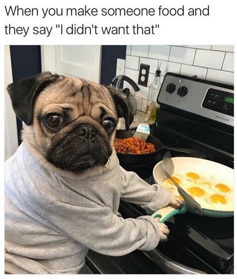 17 Pugs Memes That Weirdly Relatable Funny And Downright Ridiculous