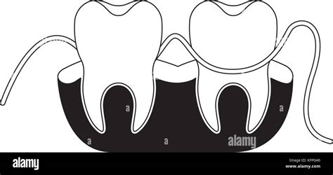 Teeth And Gums With Dental Floss Between Them In Black Silhouette Stock