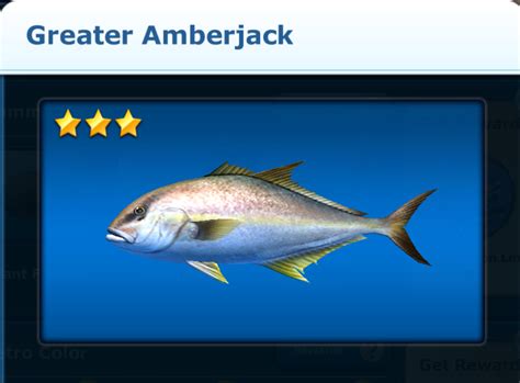 Greater Amberjack Ace Fishing Wiki Fandom