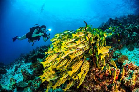 Dusit Thani Maldives Unveils Ocean Dive And Sports Centre