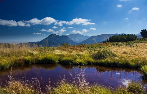 Landscape Photography Of Pond Surrounded By Green Grasses Tatry Hd