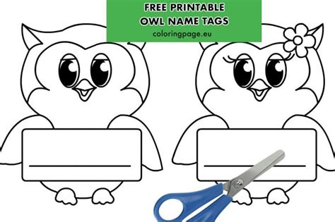 Classroom Owl Name Tags Printable Coloring Page