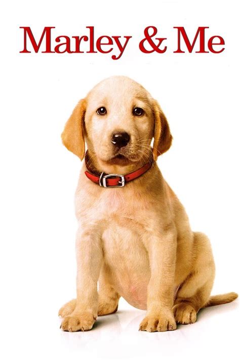 As the grogans mature and have children of their own, marley continues to test everyone';s patience by acting like the world' doodstream choose this server. Marley & Me (2008)