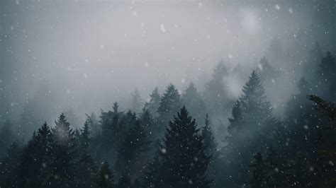 Animated Forest Snow For Wallpaper Engine 4k Youtube