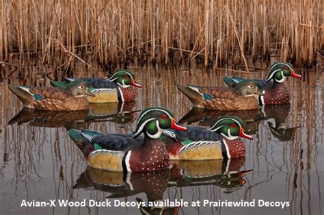 Flawless reproduction of duck personality and postures. Prairiewind Decoys. **FREE SHIPPING** Top Flight Wood Duck ...