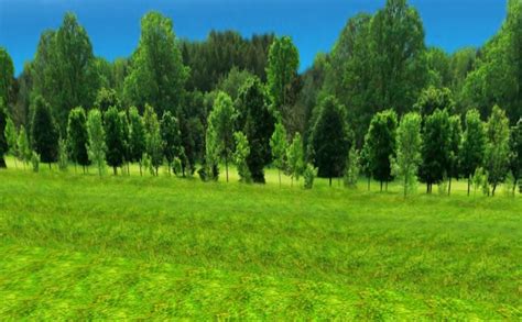 Second Life Marketplace Alexa Grass And Trees Resizable Sky Box