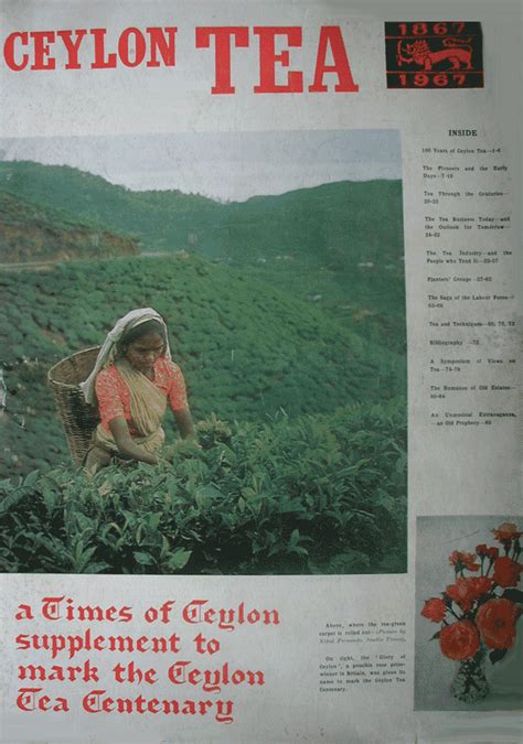 Tea Related Publications History Of Ceylon Tea