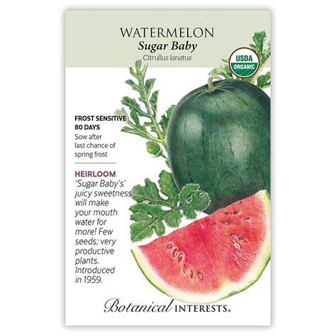 Sugar Baby Watermelon Seeds Vegetables Botanical Interests