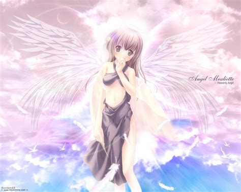Sexy Female Anime Angel 800x640 Wallpaper Teahub Io