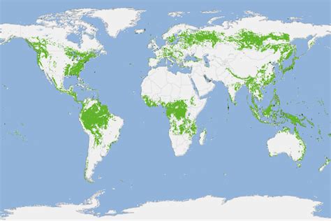 Crean Un Mapa De Los Bosques De Toda La Tierra Infoamazonia