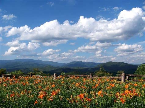 Smoky Mountains Spring Vacation Top Things To Do