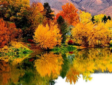 Autumn Lakeshore Colorful Autumn House Riverbank Shore Cottage