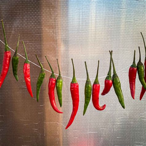 How To Dry Peppers 3 Ways With And Without A Dehydrator Modern Harvest