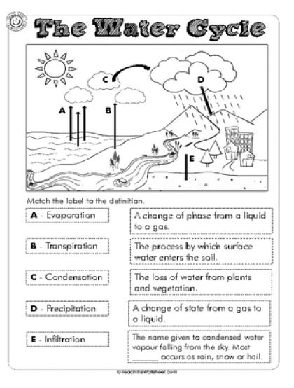 Worksheet Water Cycle Grade 4