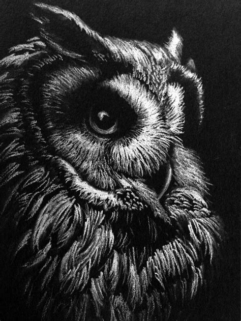 Owls Drawing Bird Drawings Colorful Drawings Easy Drawings Animal