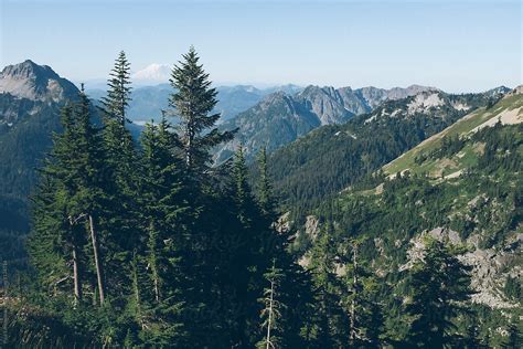 Expansive View Of North Cascades And Alpine Forest Wa Usa Del