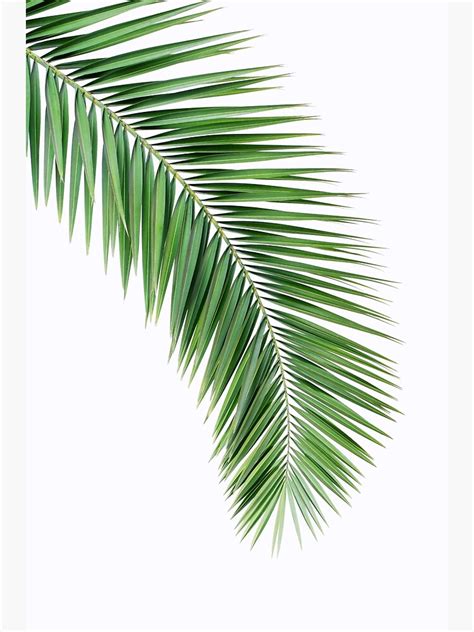 Gardening with children helps strengthen the togetherness time with you as parents. "Palm leaf wall decor, printable leaf palm, printable palm ...