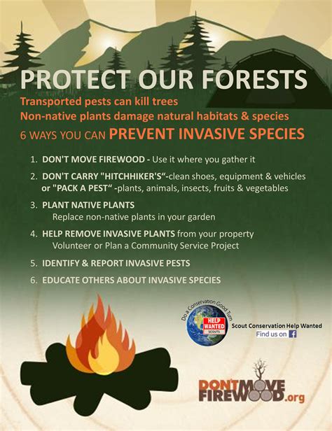 Protect Our Forests Poster Dont Move Firewood