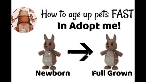 Adopt Me Pet Age Chart Roblox