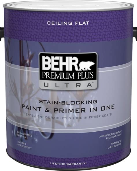 Stain Blocking Ceiling Paint And Primer In One 379 L Painted Ceiling