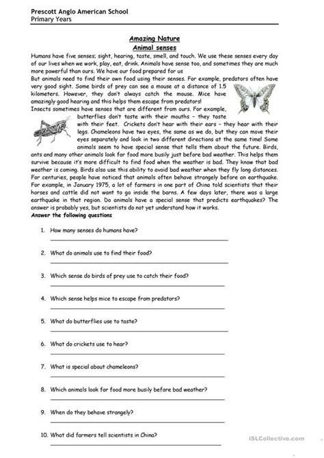 Fun reading about animal senses Verb tenses, Animals, Reading, fun