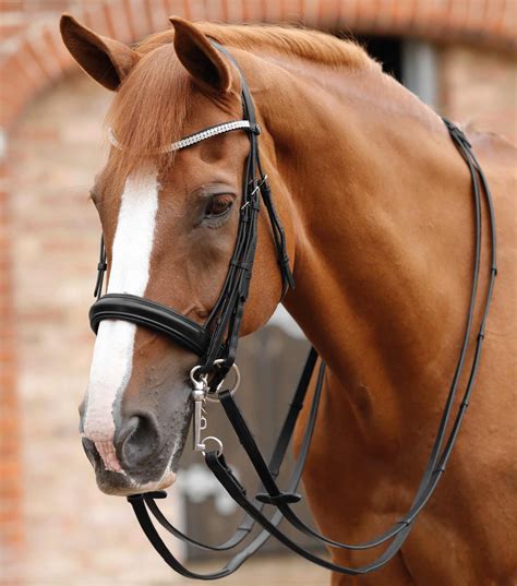 Leonardo Plain Leather Reins Premier Equine Int Ltd