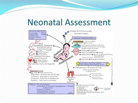 Ppt Neonatal Nursing Care Part2 Neonatal Assessment Powerpoint 0bf