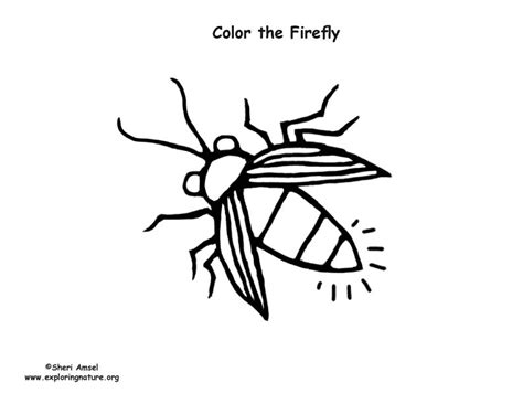 All rights belong to their respective owners. Firefly Coloring Page