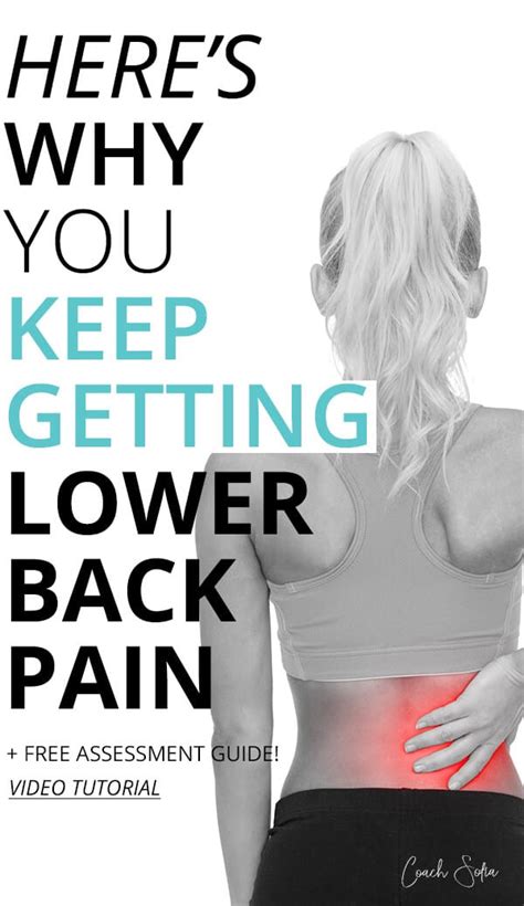 The low back is the area behind the belly from the rib cage to the pelvis and is also called the lumbar region. What's Causing My Lower Back Pain? - Coach Sofia Fitness