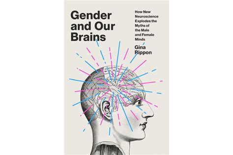 Gender And Our Brains By Gina Rippon Reviewed