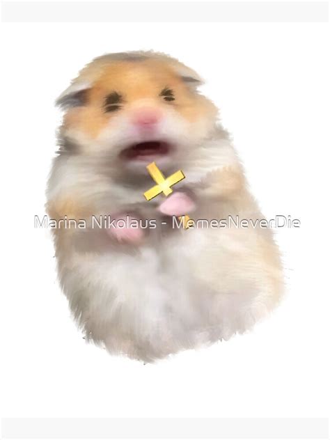 Scared Hamster With Cross Meme Funny Screaming Hampster Memes Metal