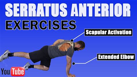 Best Serratus Anterior Exercisespush Up Plus And More Youtube
