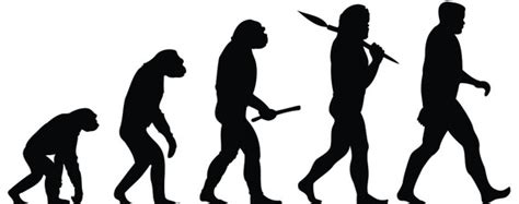 Evolution And Creativity Why Humans Triumphed Wsj