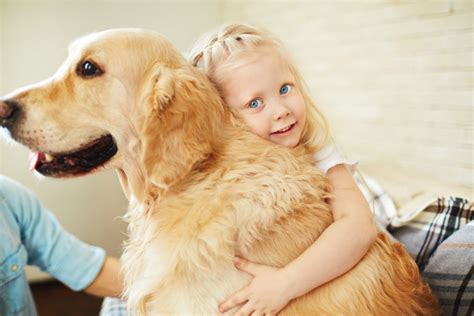 Studien Hunde übertragen Neue Gefährliche Viren Pediatricradiologynet