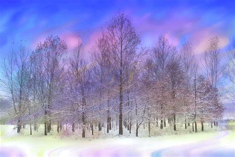 Pastel Winter Scene Photograph By Susan Johnson Fine Art America