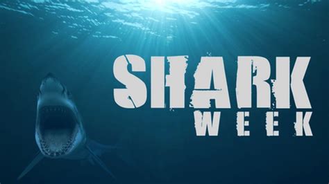 Shark Week In A Weekend Full Schedule For The Toothiest Binge Watch Ever