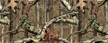 Camo Hunting Camouflage Deer Background Backgrounds Mossy
