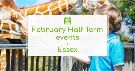 Things To Do In Half Term In Essex The Tourist Trail