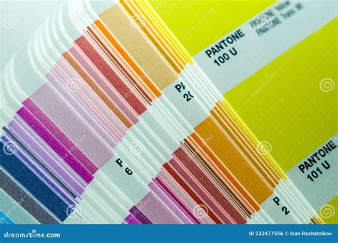 Pantone System Color Samples Color Palette Cardboard Cards With A
