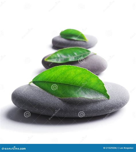Zen Stones With Leaves Stock Photo Image Of Japanese 21529206